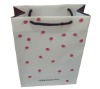 New design plastic bag with offset print
