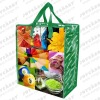 New design print pp woven zip bags