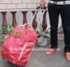 New design trolley travel bag/luggage