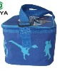 New fashion designer 210d cooler bag