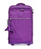 New fashion designer luggage carrier