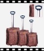 New style fashion trolley suitcase