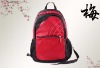 New style leisure mountain backpack