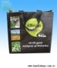 New style non woven bag(CL-286)