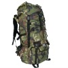 New style of Hiking Bags