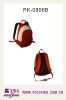 New style outdoor backpack in 2011