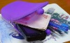 Newest Silicone Phone Pouch, Coin Purse