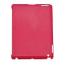 Nice plastic case for iPad 2