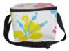 Non Woven Cooler Bag