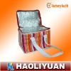 Non Woven Cooler Bag