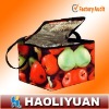 Non Woven Cooler Bag