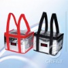 Non Woven Cooler Bag