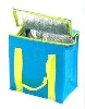 Non Woven Ice Bag,Cooler Bag