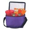 Non-Woven Insulated Six Pack Cooler Bag