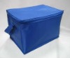 Non Woven Lunch Cooler Bag