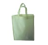 Non Woven Promotional Shopping Packing Bag