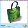 Non Woven Shopping Bag(DFY-003)