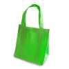 Non Woven bag