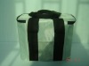 Non-Woven cooler bag