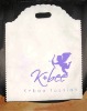 Non-Woven gift package bag