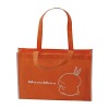 Non-Woven shopping bag