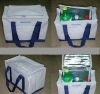 Non-woven Cooler Bag HI2980