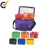 Non-woven Insulated Cooler Bag