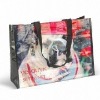 Non-woven PP Shopping Bag (Gre-201146)