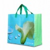 Non-woven Recycle Bag