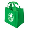 Non-woven Shopping Bag