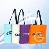 Non-woven Shopping Bag