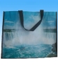 Non-woven bag(CL-229)