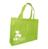 Non-woven bag, Shopping bag, Promotion bag, Recycle bag XT-NW112416