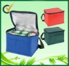 Non-woven cooler bag with Zipper closure