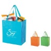 Non-woven eco bag(Paypal accept for very small order)