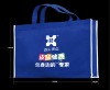 Non-woven eco-friendly bag