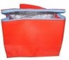 Non-woven ice bag/picnic bag