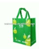 Non-woven long handle printing apple green shopping bag