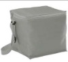 Non-woven medium style  cooler bag ,family size lunch cooler box.lunch coolers ,cooler bags,plastic bags