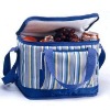 Non woven outdoor cooler bag