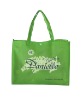 Non-woven promotion bag