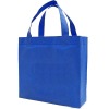 Non-woven promotional eco bag