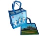 Non-woven shopping bag