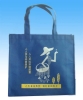 Non-woven shopping bag(CL-232)