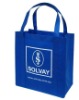 Nonwoven Foldable Bag