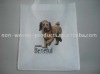 Nonwoven Gifts Bags
