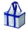 Nonwoven cooler bag