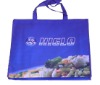 Nonwoven eco bag