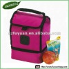 Nonwoven insulated cooler bags with zipper