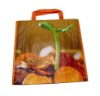 Nonwoven pp shopping bag